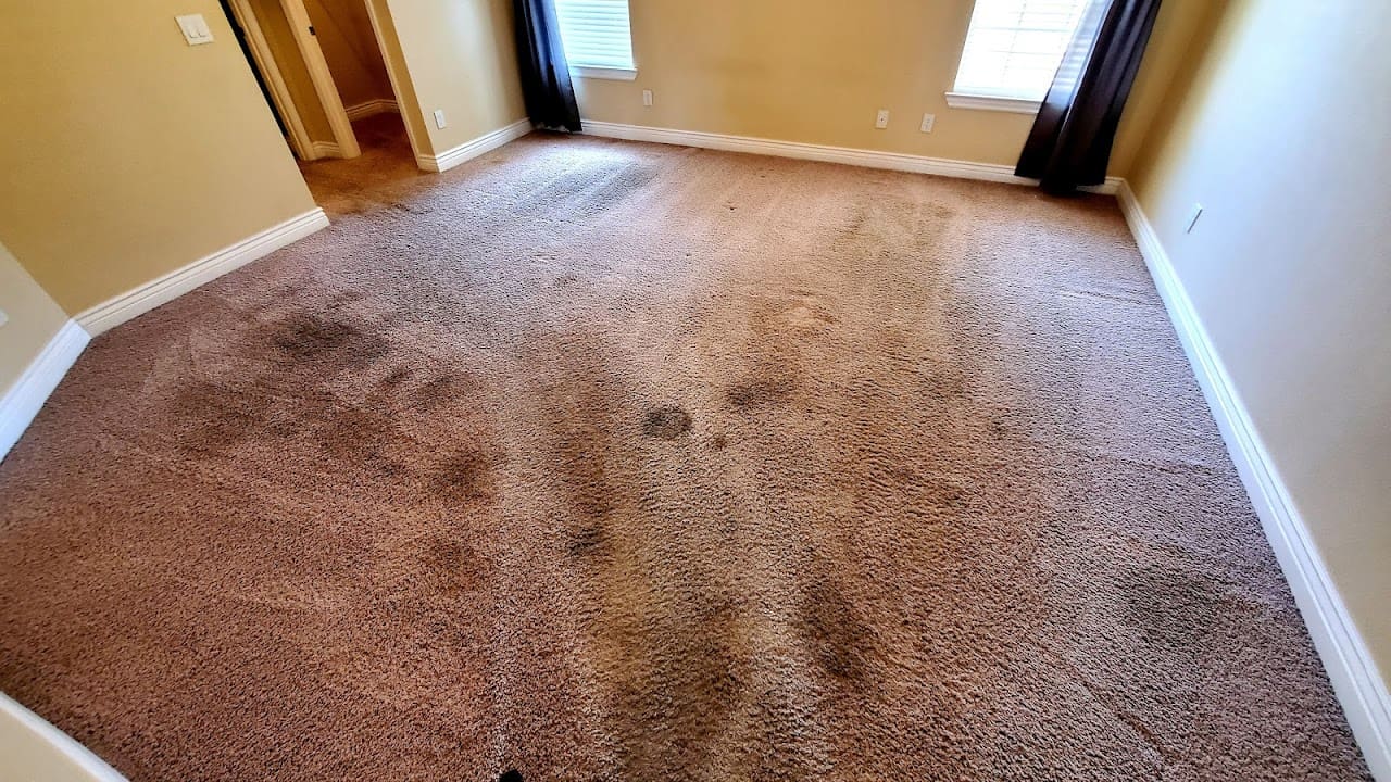1440 carpet and tile cleaning Carpet Cleaning Service in Cantonment Florida