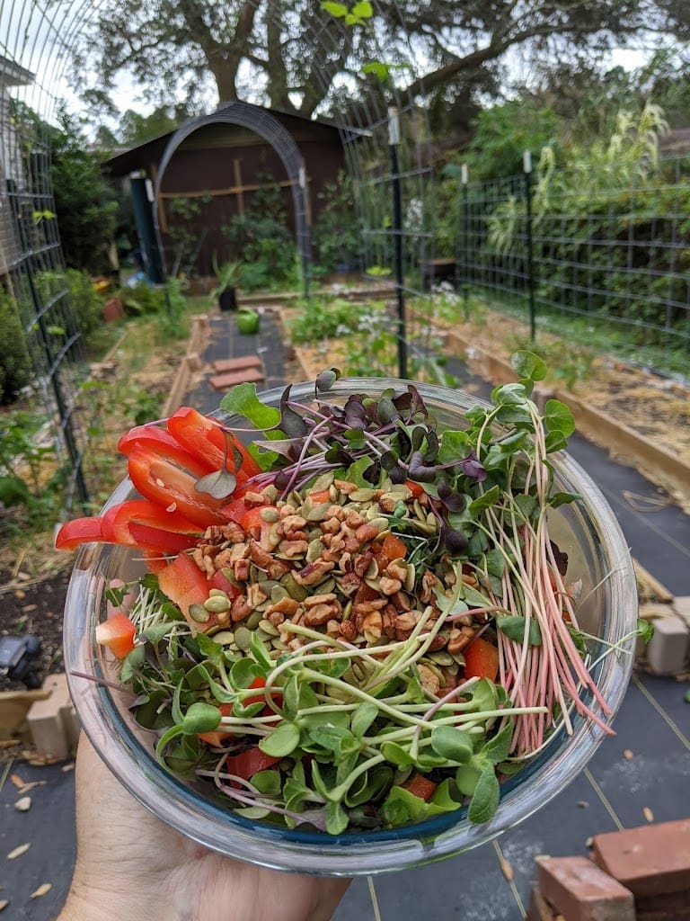 4 Leaf Flowers Farm in Cantonment Florida