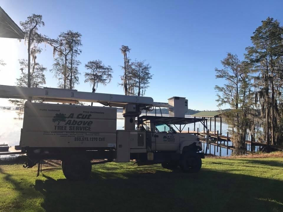 A Cut Above Tree Service Chipley Fl Tree Service in Chipley Florida