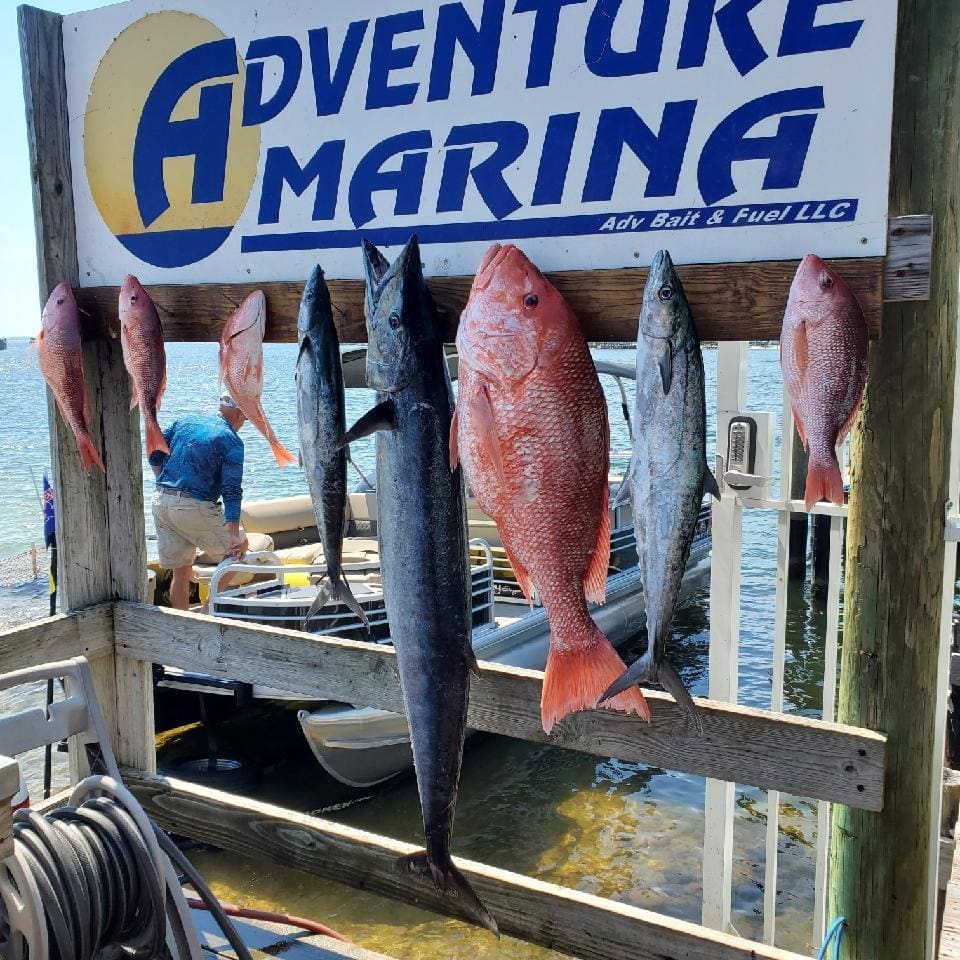 Adventure Marina Bait Tackle Bait Shop in Fort Walton Beach Florida
