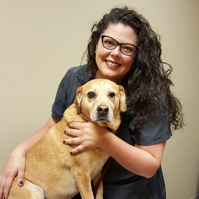 Animal Eye Clinic Of Pensacola Veterinarian in Pensacola Florida