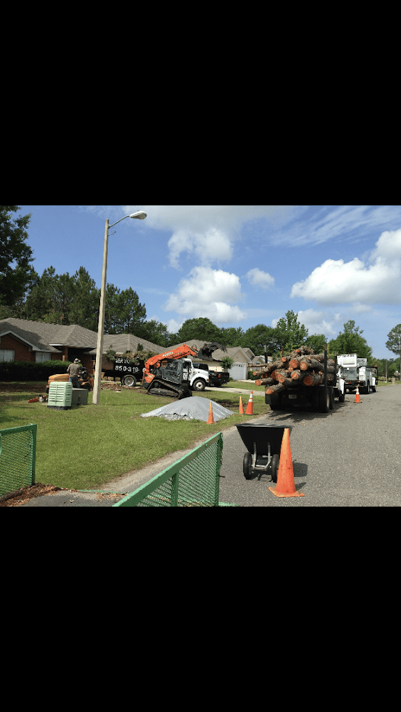 Arbor Outlawz Tree Removal llc Tree Service in Panama City Florida
