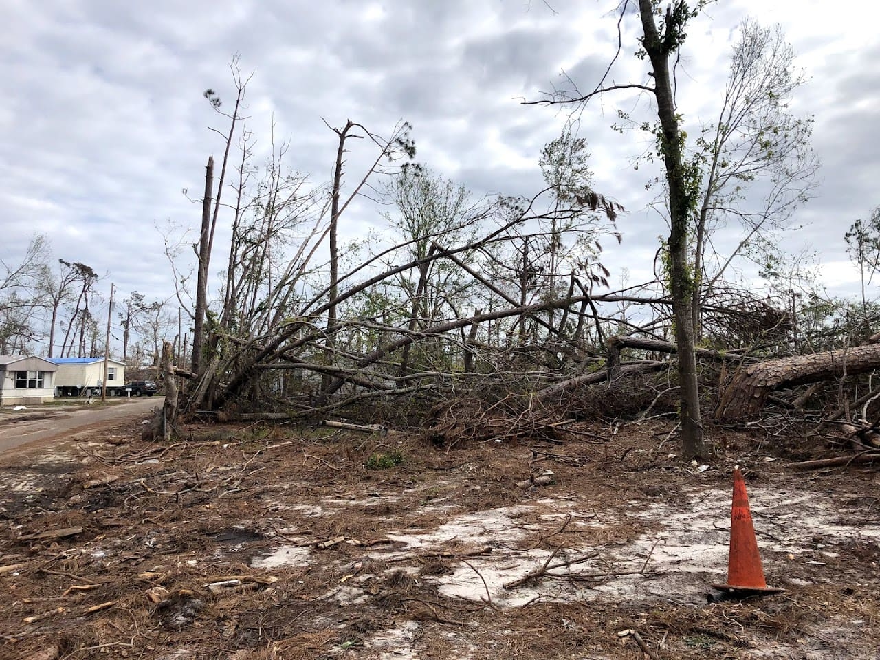 BTN Tree Service LLC Tree Service in Pensacola Florida