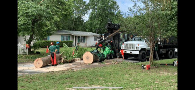 Backridge Tree Service Tree Service in Fort Walton Beach Florida