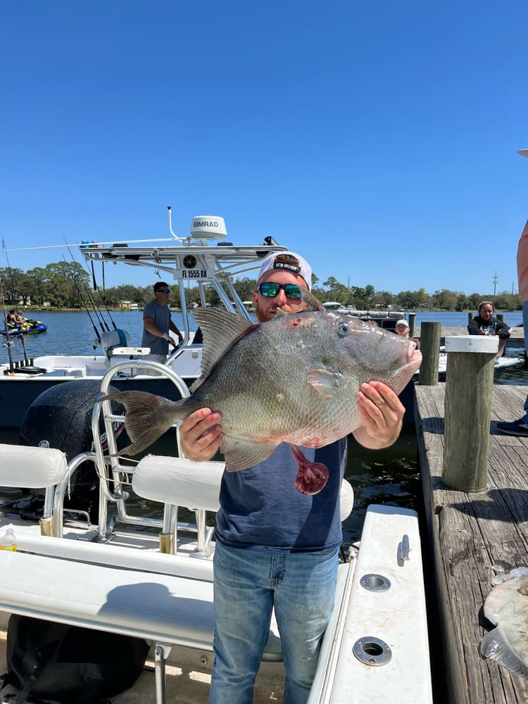 Bandit Fishing Fishing Charter in Pensacola Beach Florida