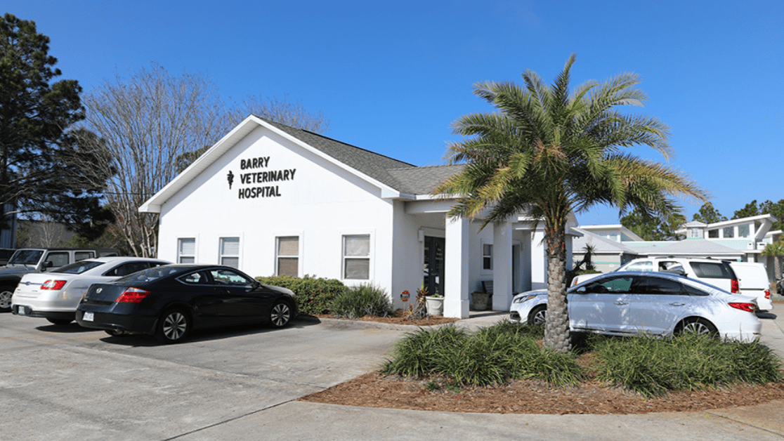 Barry Veterinary Hospital Animal Hospital in Miramar Beach Florida