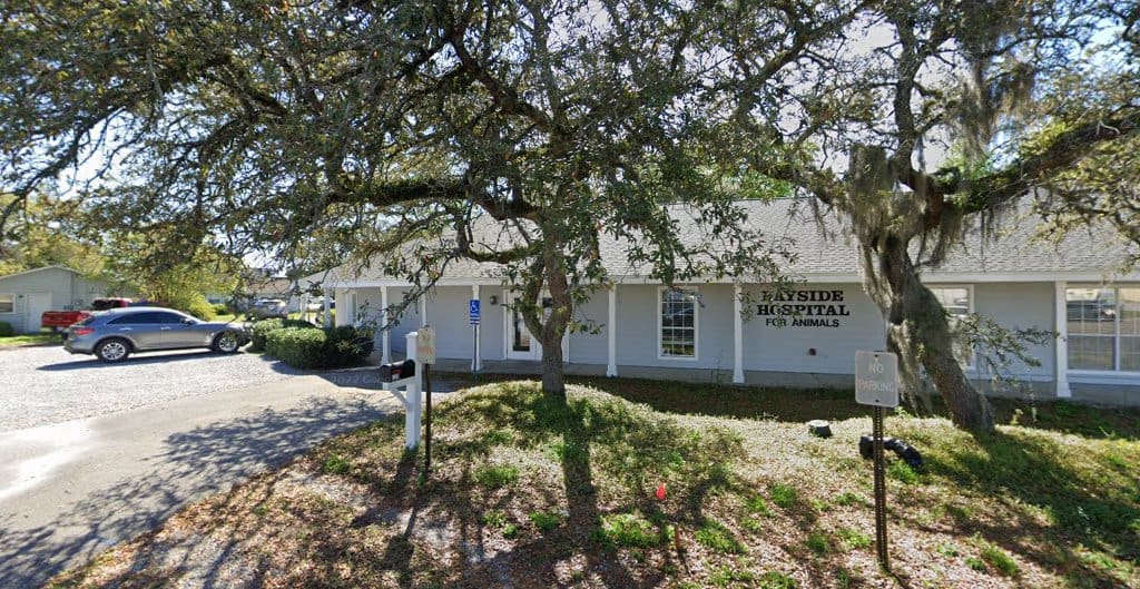 Bayside Hospital For Animals Petermann Elisabeth DVM Veterinarian in Fort Walton Beach Florida