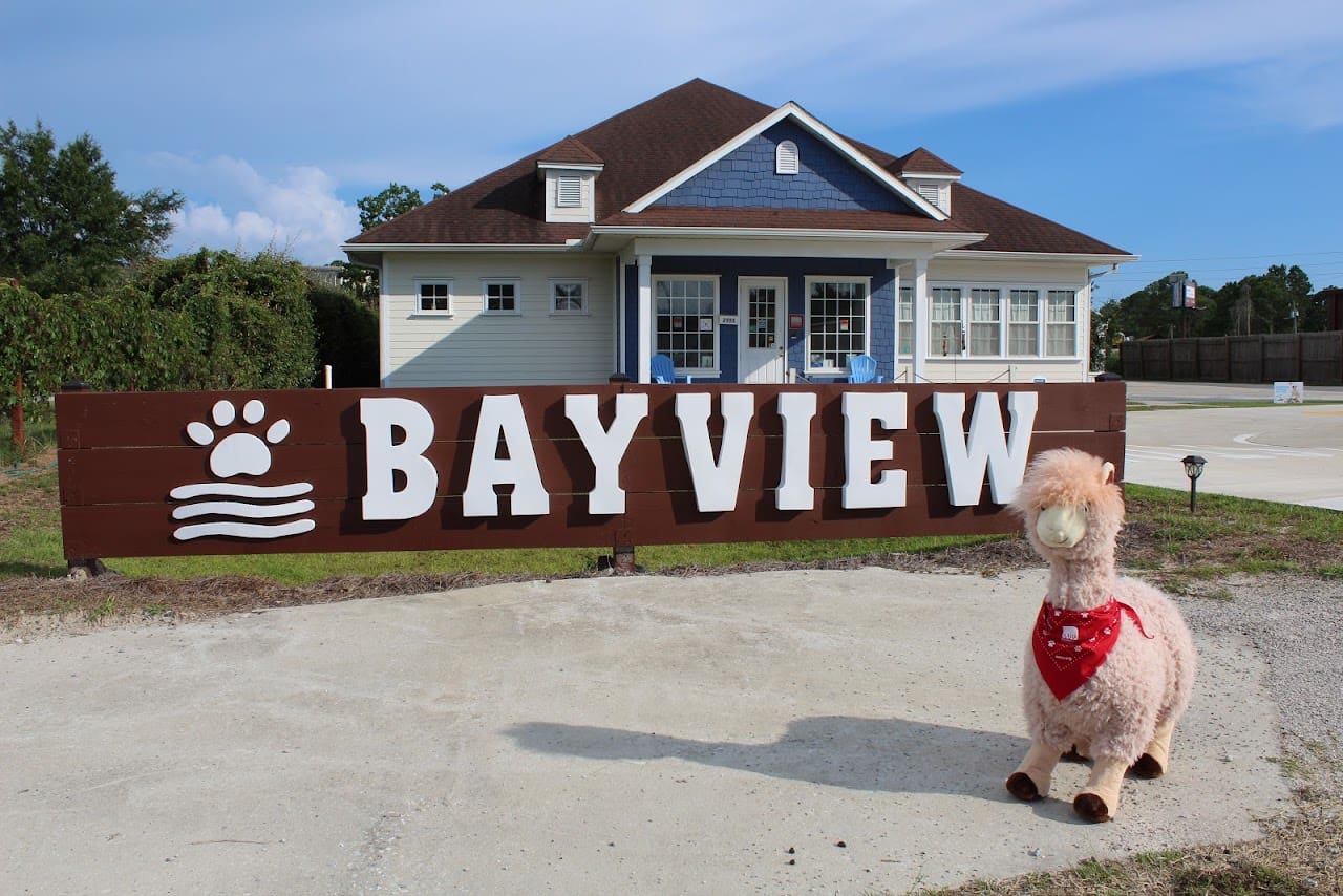 Bayview Veterinary Hospital Veterinarian in Panama City Florida