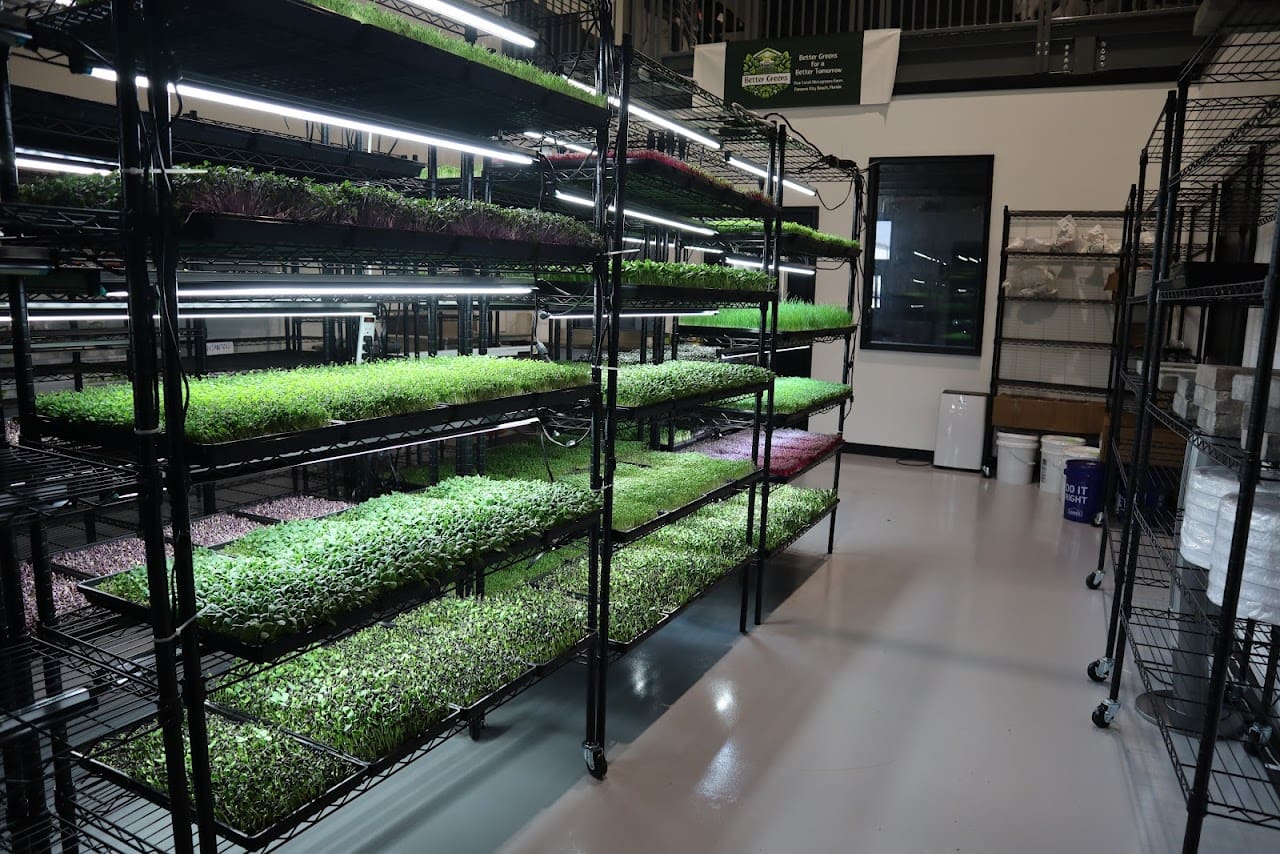 Better Greens Farms Health Food Store in Panama City Beach Florida