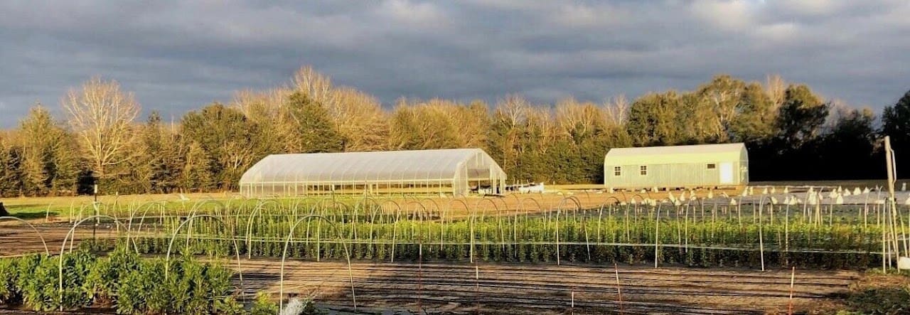 Blossom Lane Farm Attraction in Baker Florida