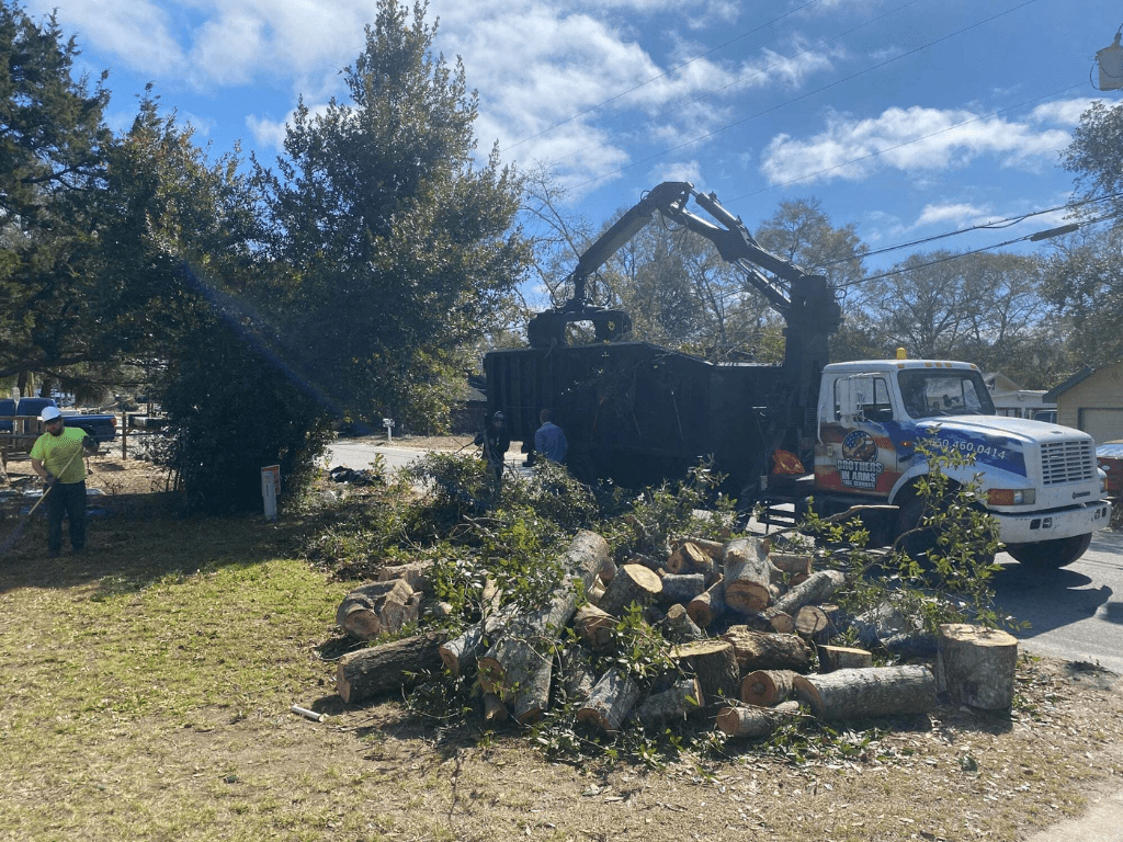 Brothers In Arms Tree Service Tree Service in Destin Florida