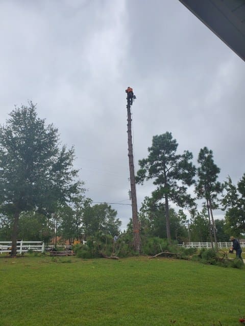 Bucks Lawn and Tree Service Tree Service in Crestview Florida