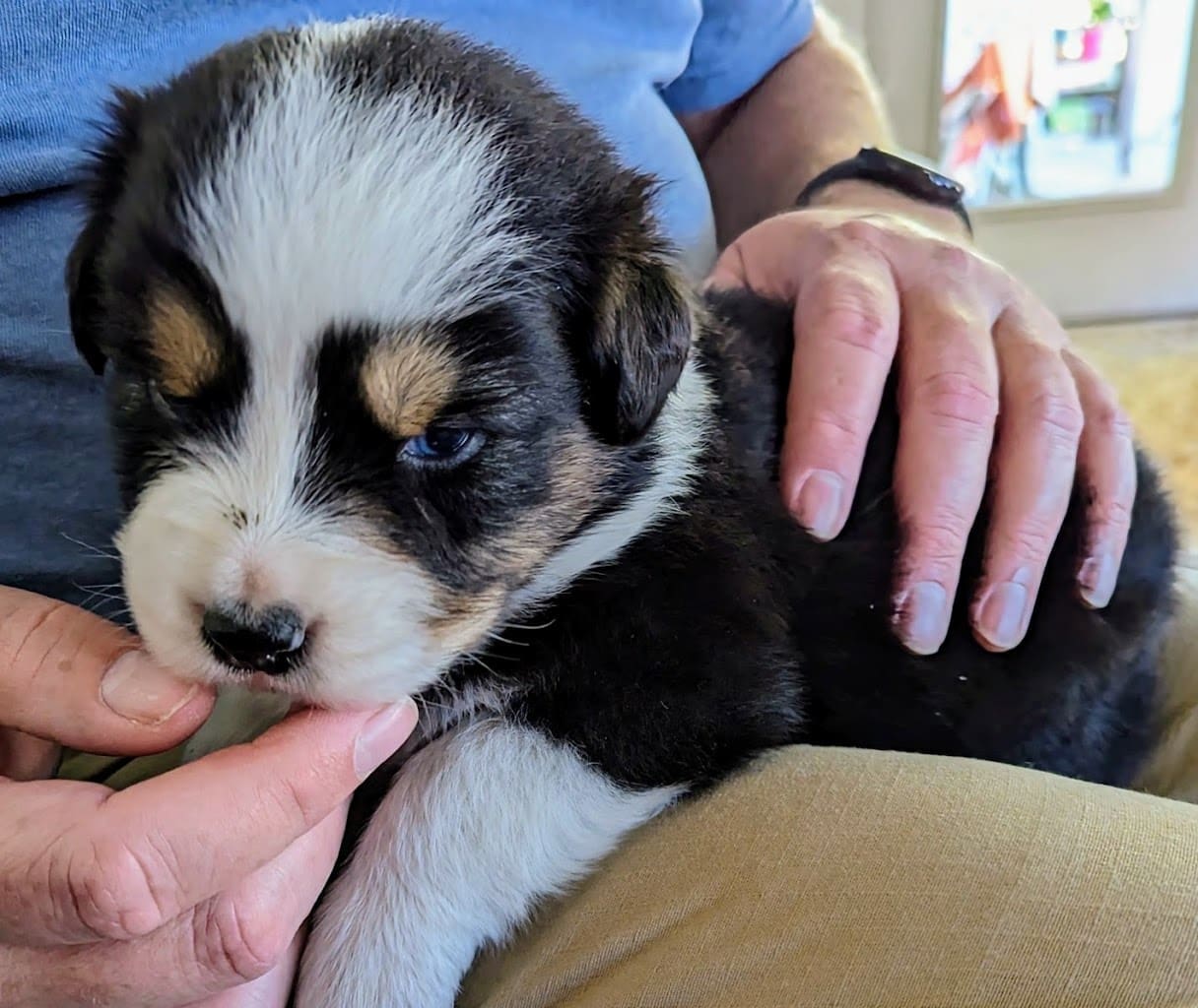 Butlers Countryside Farm Farm in Milton Florida