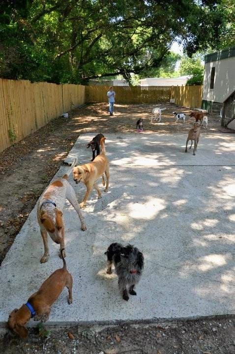 Cains Dog House Pet Groomer in Pensacola Florida