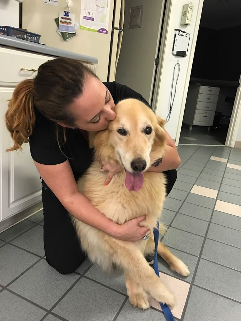 Chemstrand Oaks Veterinary Hospital Veterinarian in Pensacola Florida