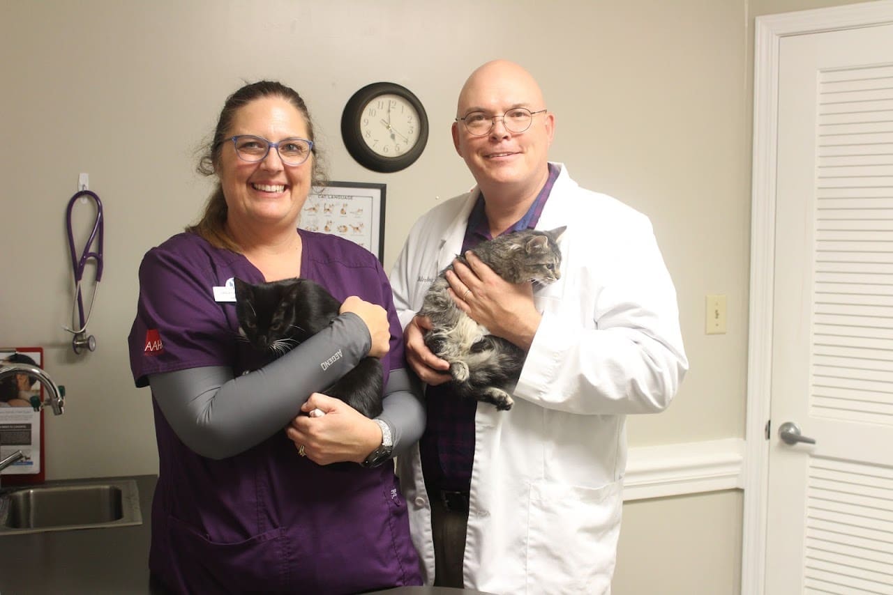 Coastal Sunrise Animal Hospital Veterinarian in Pensacola Florida