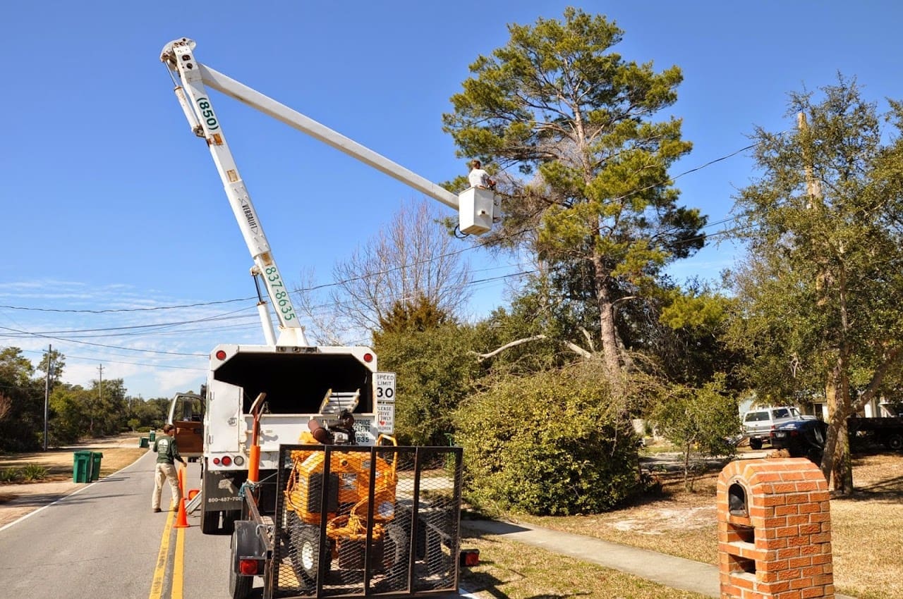 Coastline Tree Service Tree Service in Destin Florida