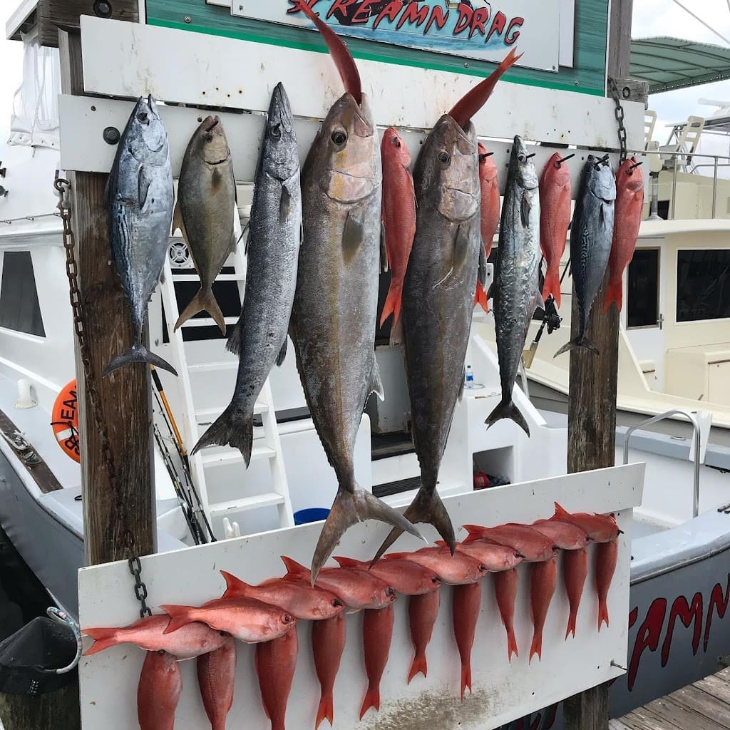 DB Fishing Charters Fishing Charter in Destin Florida
