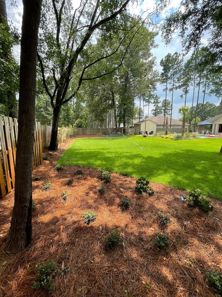 DT Tree and Lawn Services Tree Service in Pace Florida