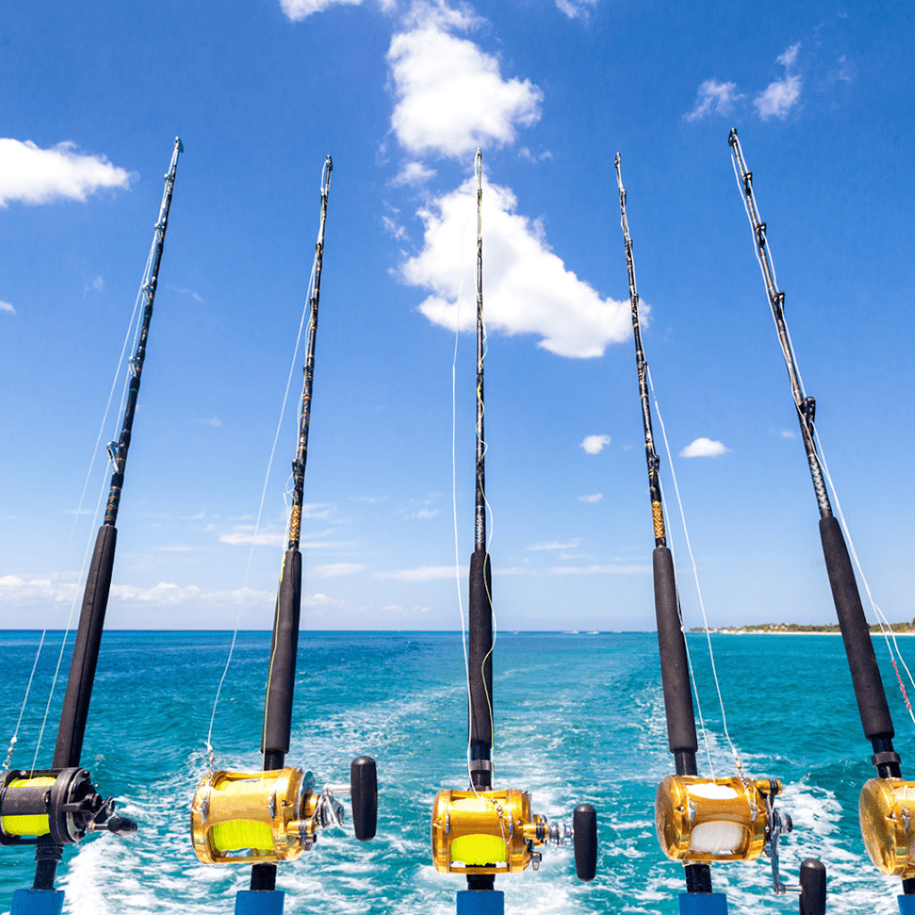 Destin Fishing Company Charters Fishing Charter in Destin Florida