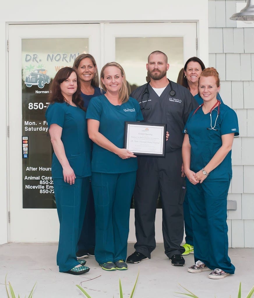 Dr Norms Westside Animal Hospital Veterinarian in Panama City Beach Florida