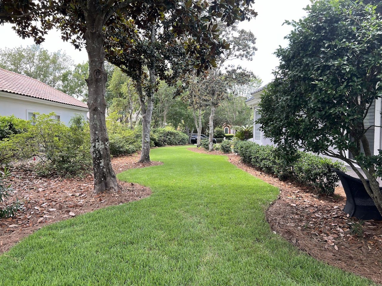 Eco Vision Landscaping Landscaper in Fort Walton Beach Florida