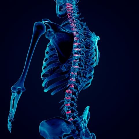 Emerald Coast Chiropractic Chiropractor in Miramar Beach Florida