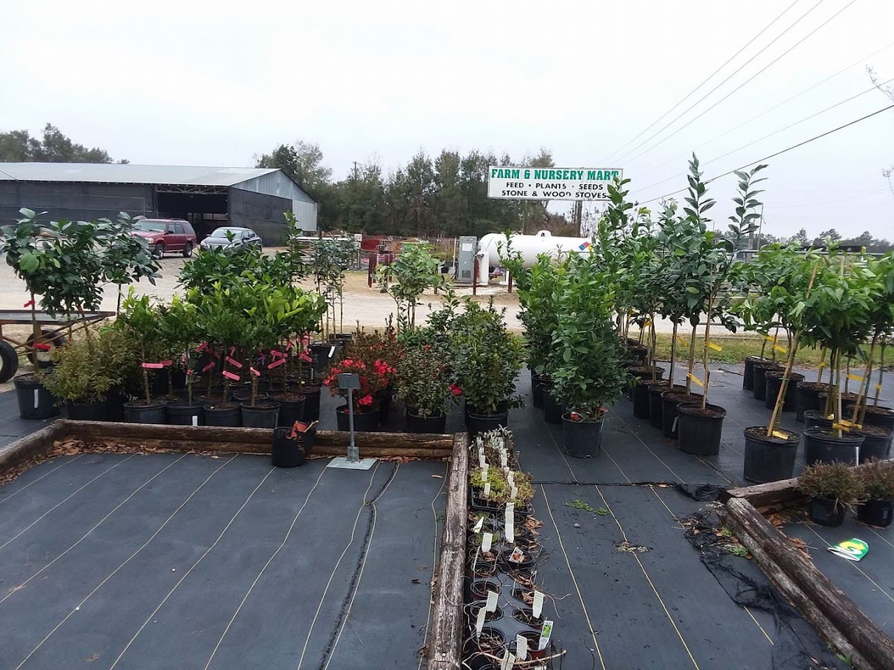 Farm Nursery Mart Farm Shop in Pensacola Florida