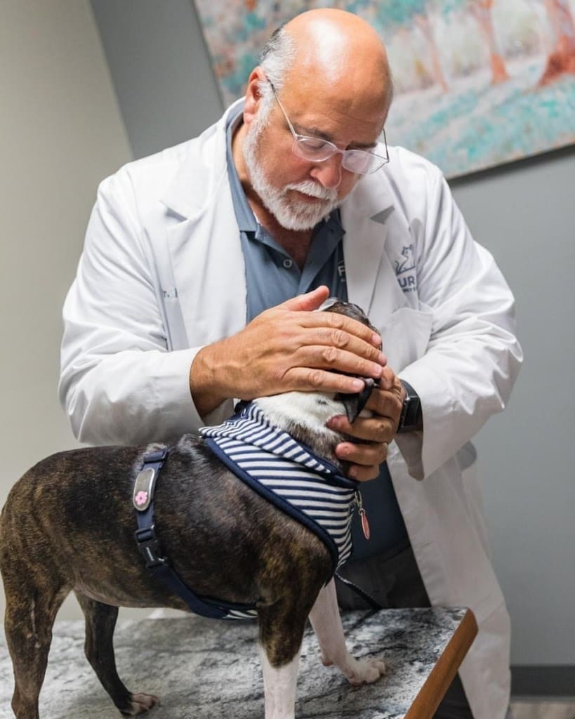 Fur Kids Allergy Dermatology Veterinarian in Pensacola Florida