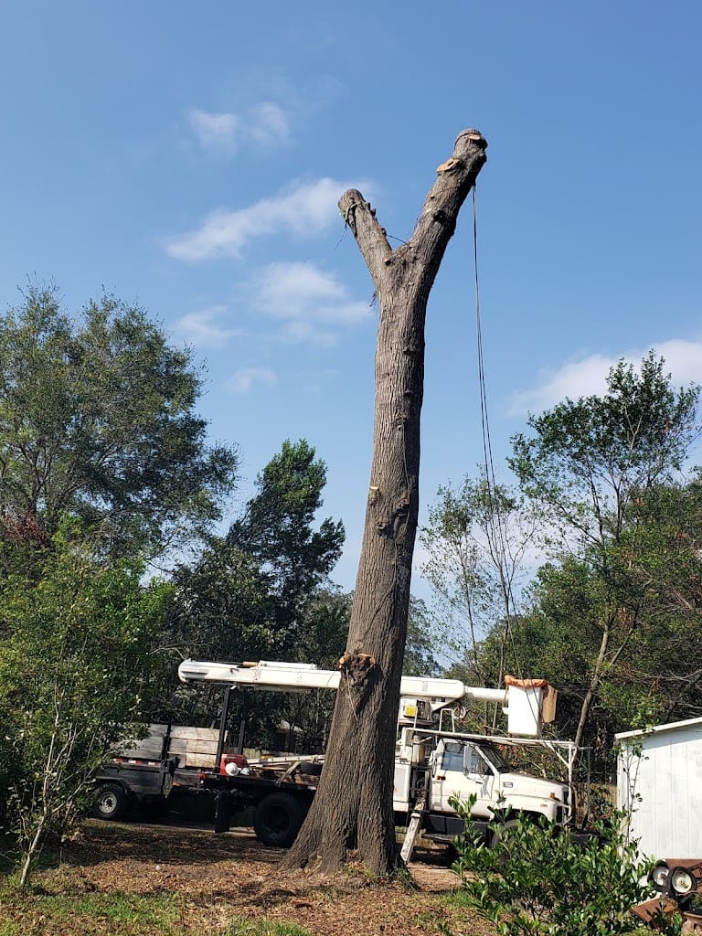 George West Tree Service LLC Tree Service in Milton Florida