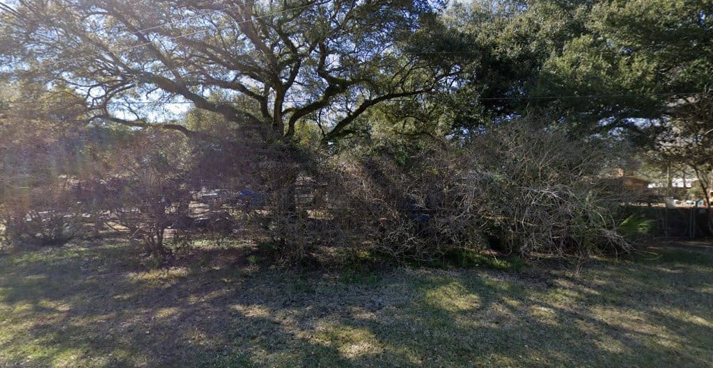 Golden Harvest Bee Farm Honey Farm in Pensacola Florida