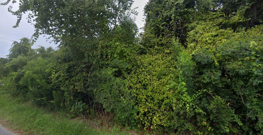 Gulf Coast Lawn Service Lawn Care Service in Panama City Beach Florida