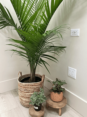 Gulf Coast NeuroSpa Psychiatrist in Pensacola Florida