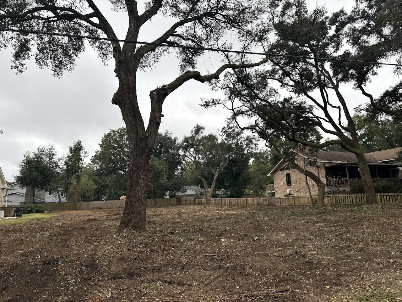 Gulf Coast Tree and Land Tree Service in Pensacola Florida