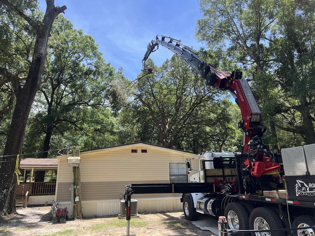 Holston Tree Service Tree Service in Cantonment Florida