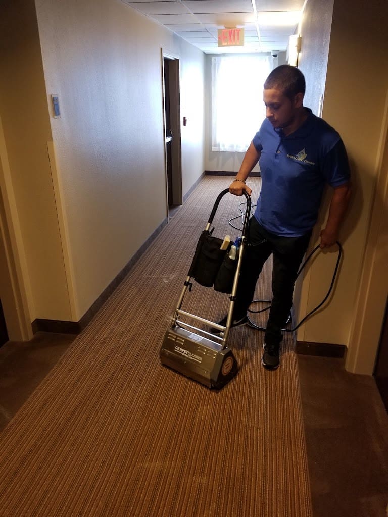 Hygea Carpet Cleaning Carpet Cleaning Service in Panama City Florida