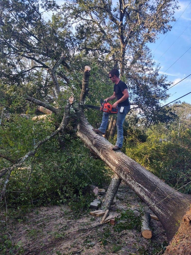 Josey Brills Lawn Care Lawn Care Service in Pensacola Florida