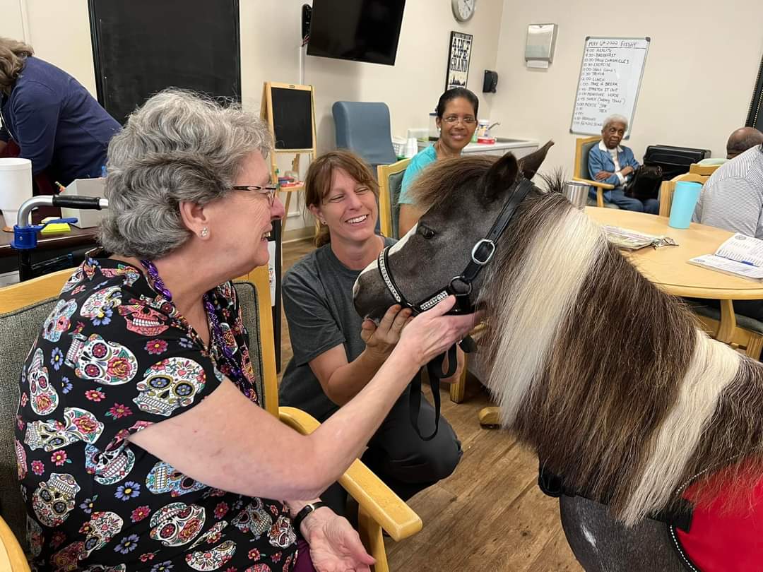Kindred Spirits Therapy Minis Volunteer Organization in Baker Florida