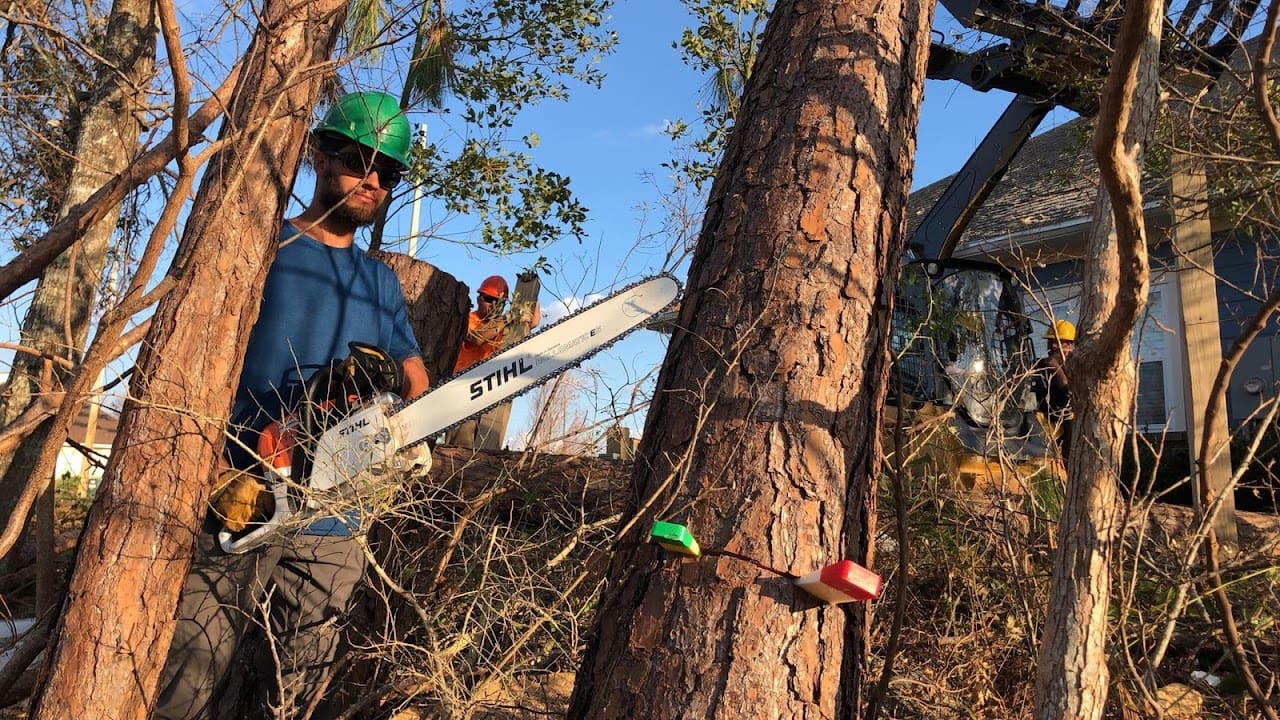 Lets Talk Tree Care LLC Tree Service in Pensacola Florida