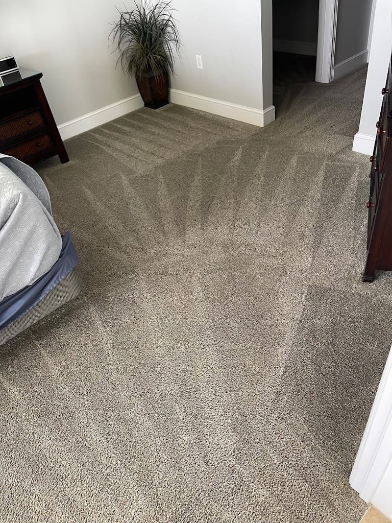 Lions cleaning pcb House Cleaning Service in Panama City Beach Florida