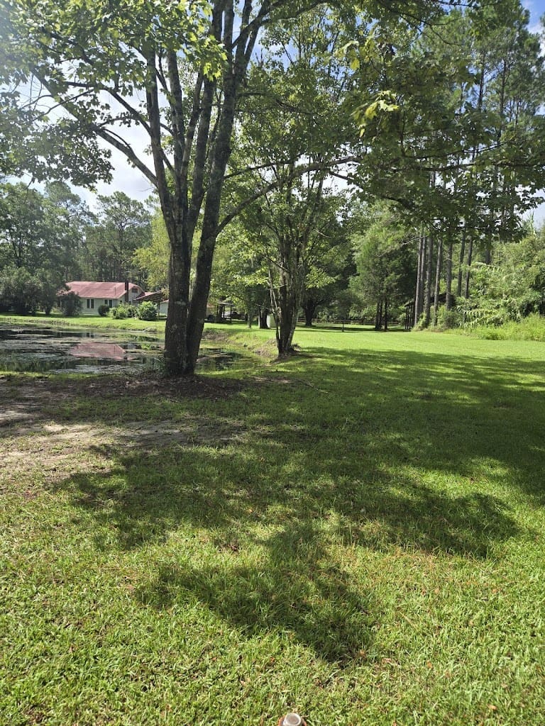 Live Oak Lawn Care landscaping Llc Lawn Care Service in Chipley Florida