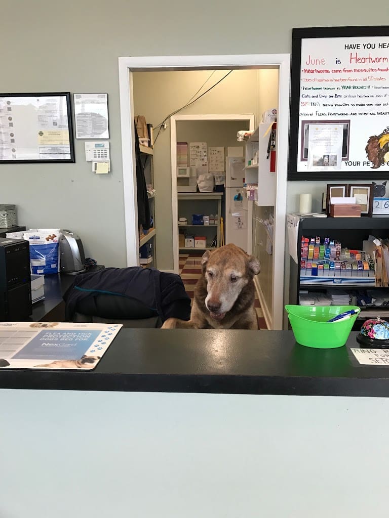 Murphy Veterinary Hospital Veterinarian in Mary Esther Florida