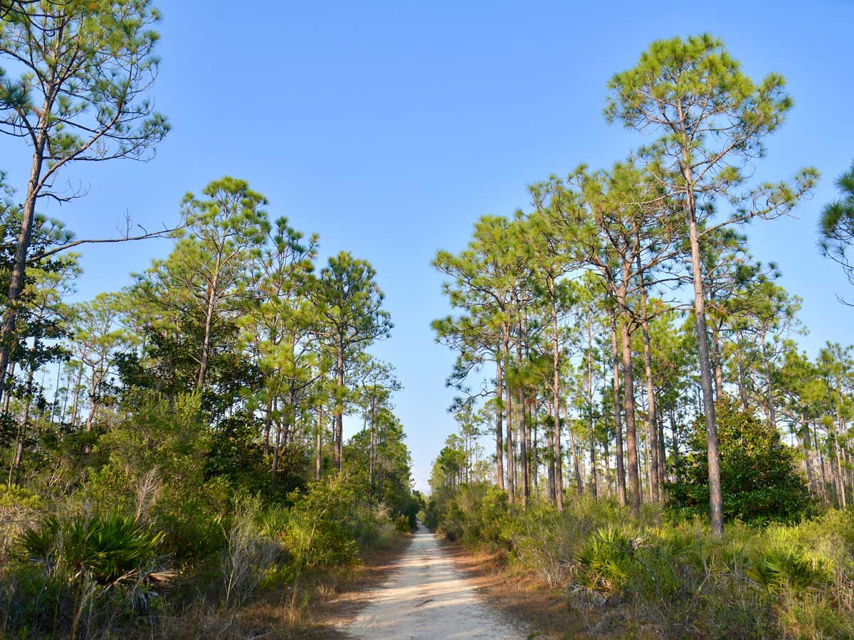 NatureWalk Lilly Lane Beach BikeWalking Trail Hiking Area in Santa Rosa Beach Florida