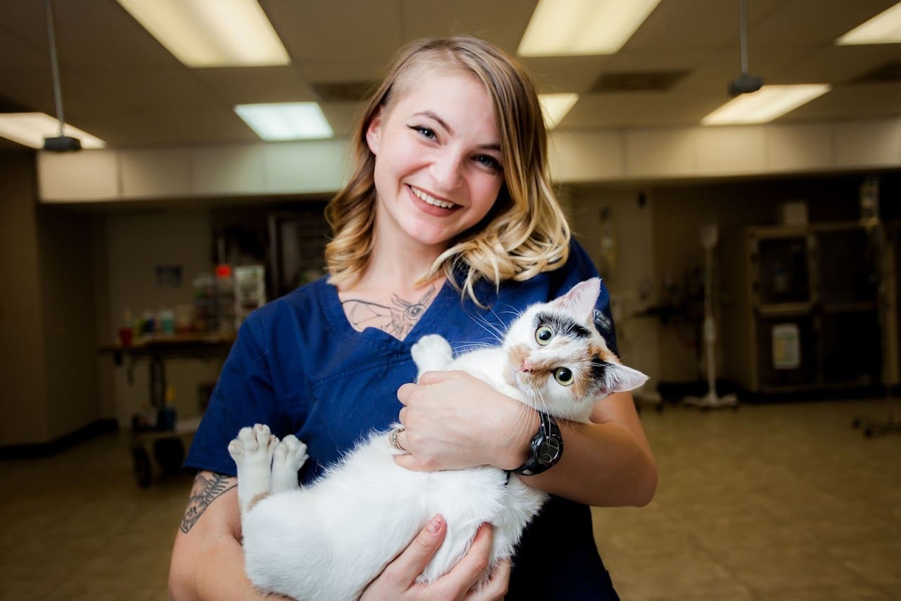 Navy Boulevard Animal Hospital Veterinarian in Pensacola Florida