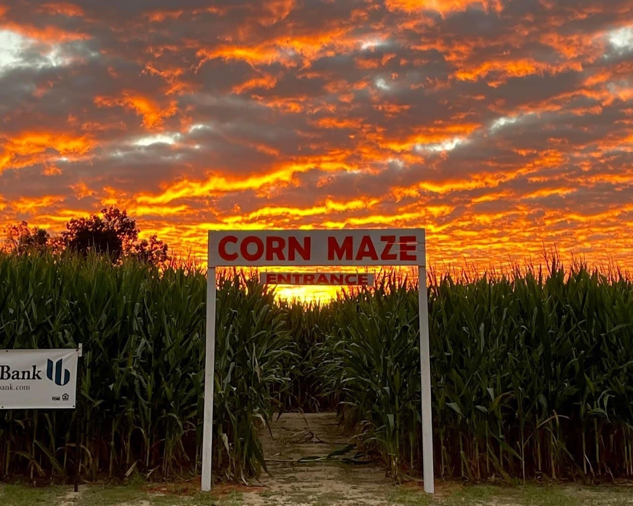 Nixon Farms Corn Maze Farm in Baker Florida
