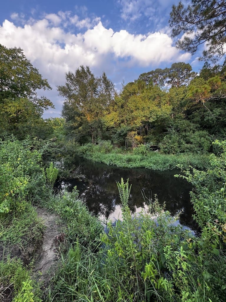 Off Road Trails Marcus Bayou Hiking Area in Pensacola Florida