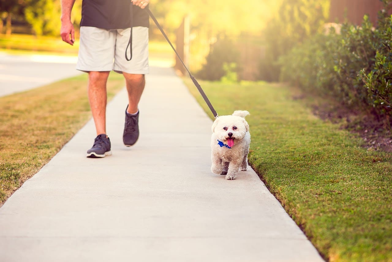 Paws N Claws Pet Sitters Pet Sitter in Gulf Breeze Florida