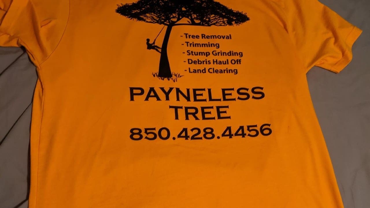 Payneless Tree Removal LLC Tree Service in Baker Florida