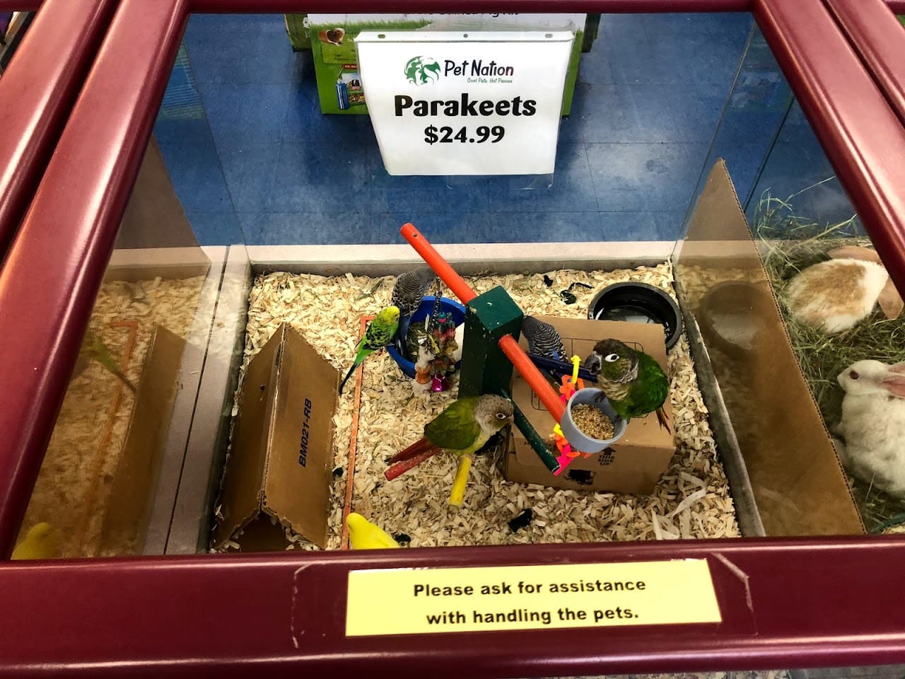 Pet Nation Pet Supply Store in Navarre Florida