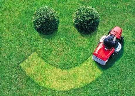Pro Landscapes Lawn Care Service in Panama City Florida